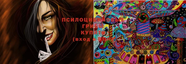 jwh Бородино