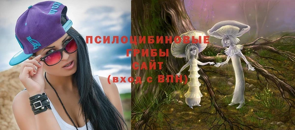 jwh Бородино