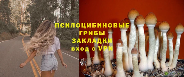 COCAINE Богородск
